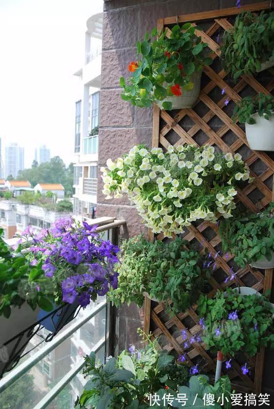 花园|3平米小阳台,也能变花园,有露台、阳台的千万别浪费!
