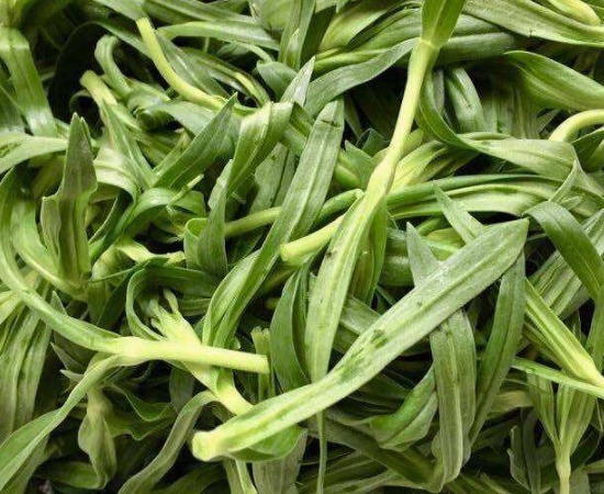 植物纤维|藏在身边的“天然止咳菜”,润肺止咳,便秘好了,咳嗽也好了