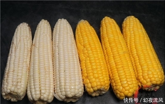 一样是玉米,“白色”和“黄色”有什么区别看完后不要买错了