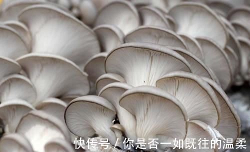 菌类|洋葱和它是绝配，堪称血管“清洁剂”，软化血管，血管也通畅了