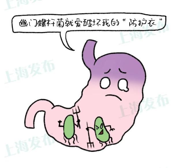 胃液|【医聊】从胃炎到胃癌,胃粘膜扛下了所有~