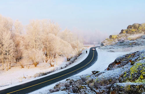 云南|【图说新疆】新疆青河：琼英四野点芳华