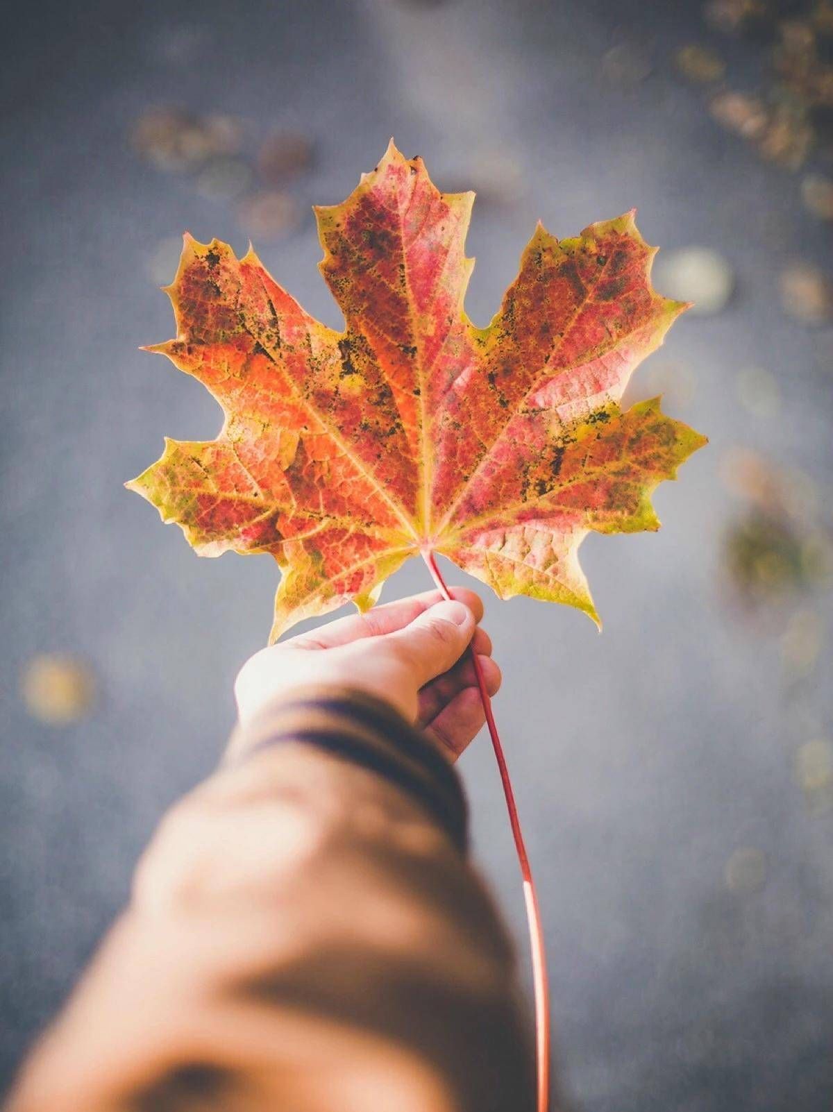 们真的不再|如果有一天，你和我是陌生人