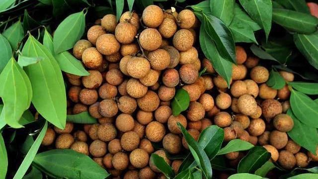 睡眠时间|四件“耗阳事”,女人再喜欢也要克制,不然阳气可能离家出走