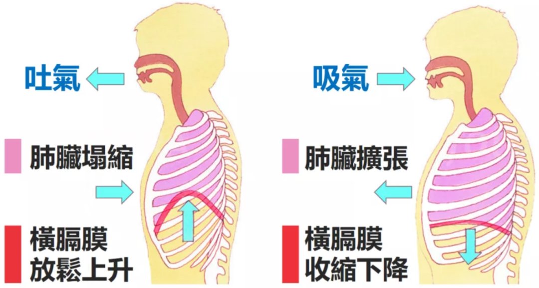 nicol【科普知识】卷了一年，是时候好好喘口气啦！