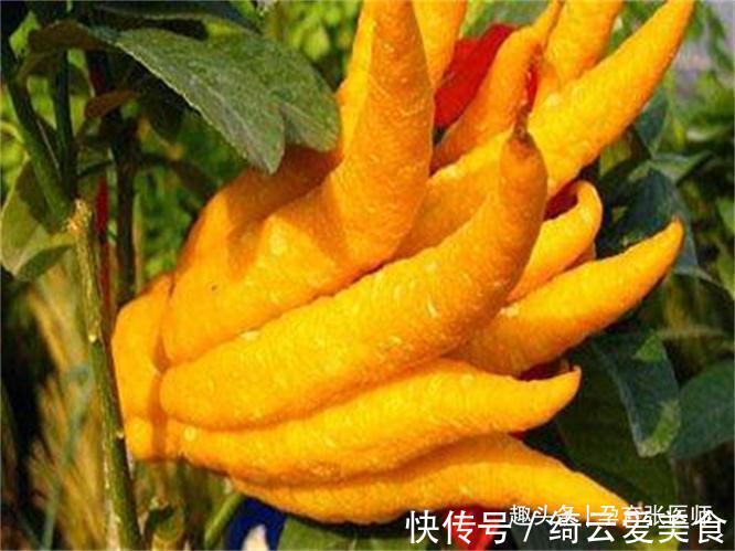 女性|女性过了40岁,推荐三种食物,排毒抗衰,减肥瘦身,养肝护肝