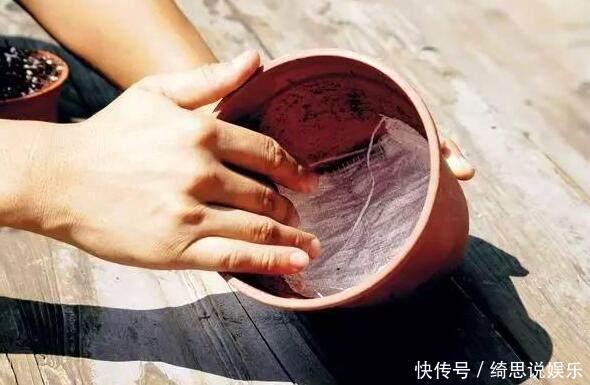 养花换盆换一盆死一棵教你一招,换盆依然长势旺盛猛开花!