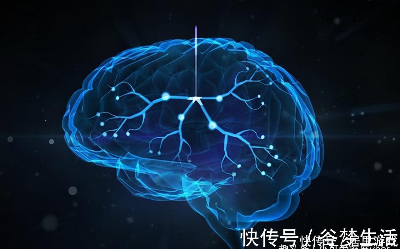 家长们|哈佛研究:孩子一生有3次“变聪明”的机会,家长至少要抓住一次