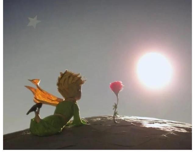 小王子|心理学:为什么父母去世后,很多兄弟姐妹都不再来往了?