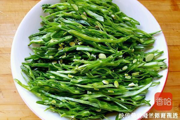 艳压群芳|遇到这菜别放过,一斤等于20个鸡蛋,5块钱一斤,夏季可多吃
