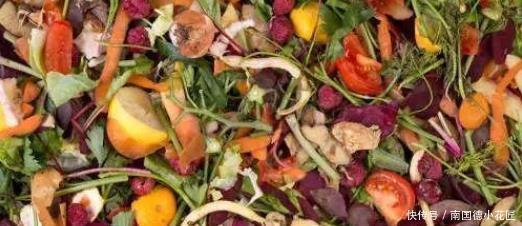 肥土|掌握堆肥的材料挑选注意事项,轻松得到健康的肥土