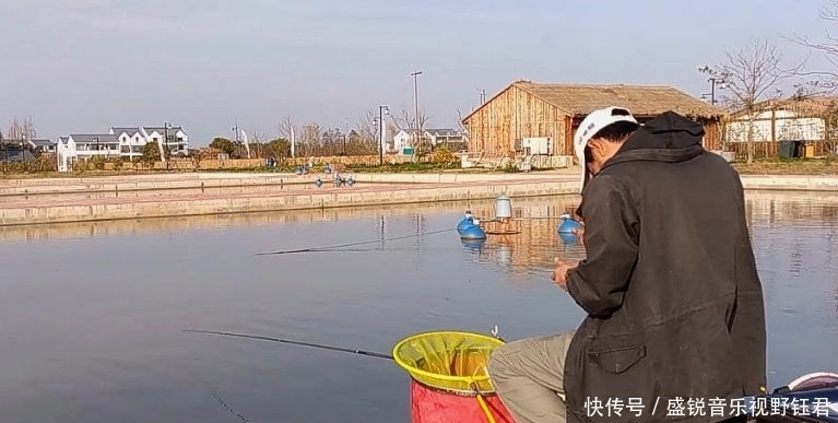 鲫鱼|垂钓鲫鱼和鲤鱼,在钓法、钓饵等方面的差异