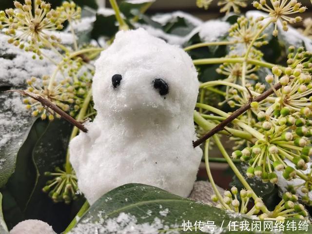 浪漫|多图预警！南大金陵今冬初雪浪漫来袭！