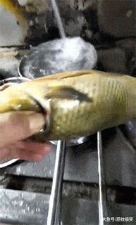 |搞笑GIF动画:岁月催人老,时间是很真实的杀猪刀啊!