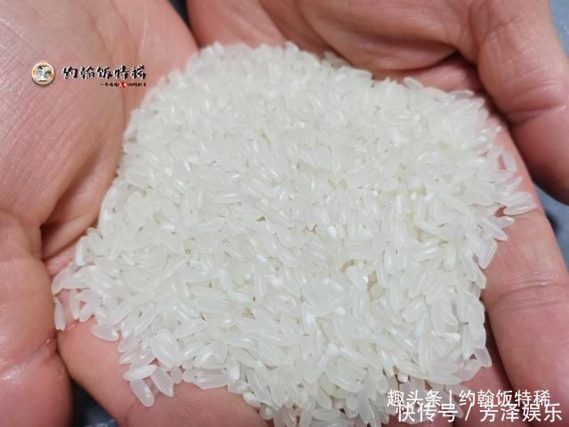 买大米,不管啥品牌,只要包装袋上有“这行字”,再便宜也是好米