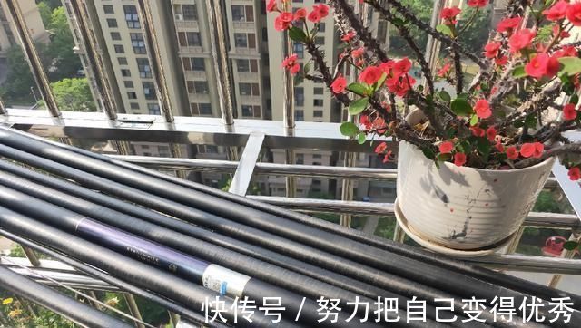 技巧|野钓鳊鱼时的实践技巧,老钓友详细讲解,非常实用