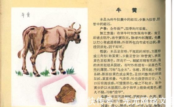冷知识|这些冷知识看完后姿势长了一大截!