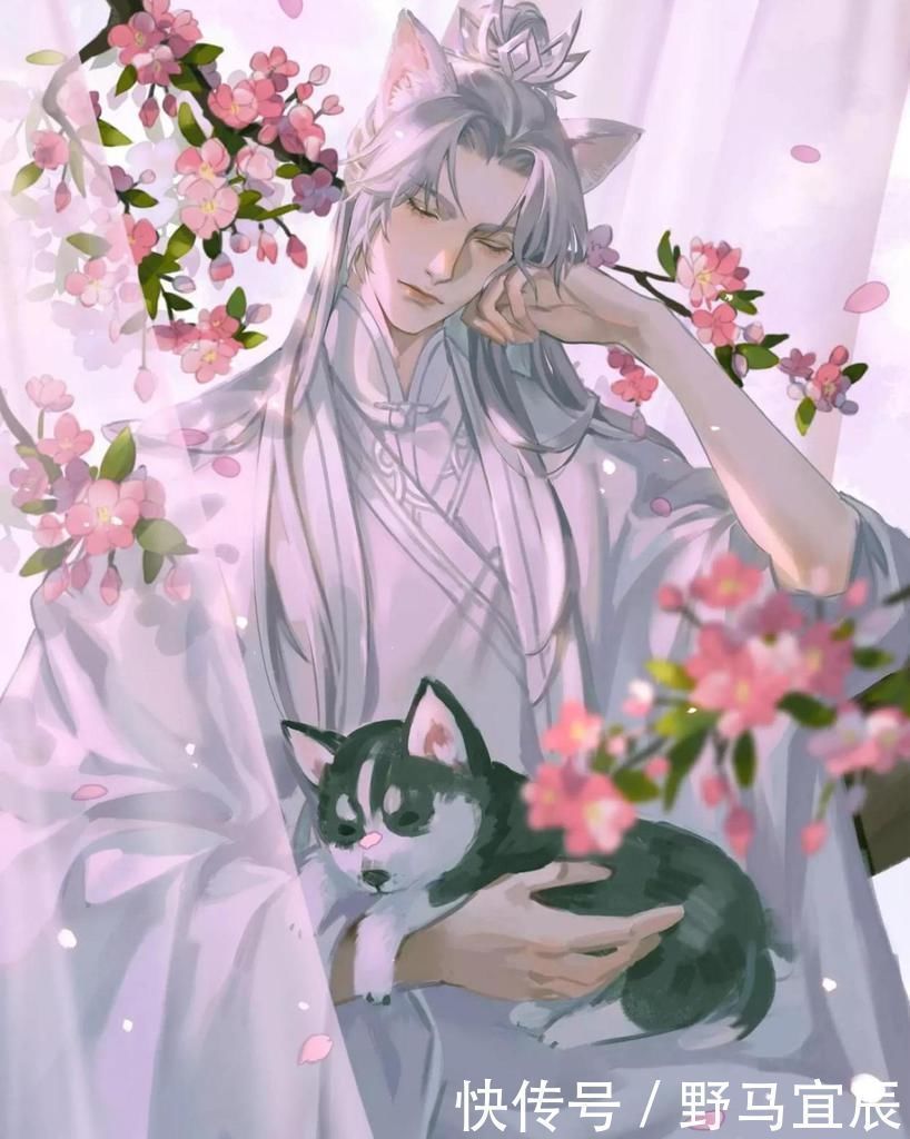 书名$纯爱小说作者到底有多会起书名?网友:完全摸不着头脑!