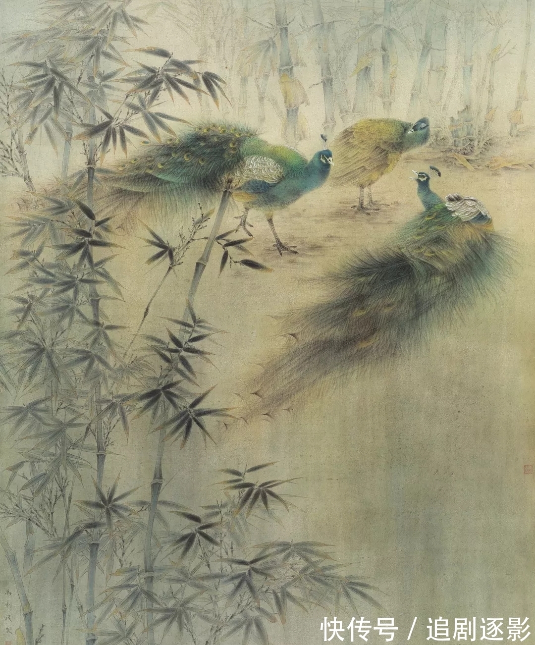 万利民@花鸟画|万利民,一个画孔雀的丹青妙手