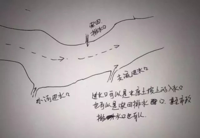 不知道鱼儿藏在哪儿?我帮你画了5张图,随便挑一个就能爆护