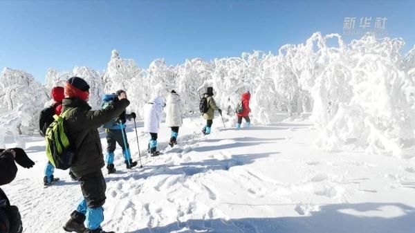 凤凰山国家森林公园|豪气！东北的雪 漫山遍野