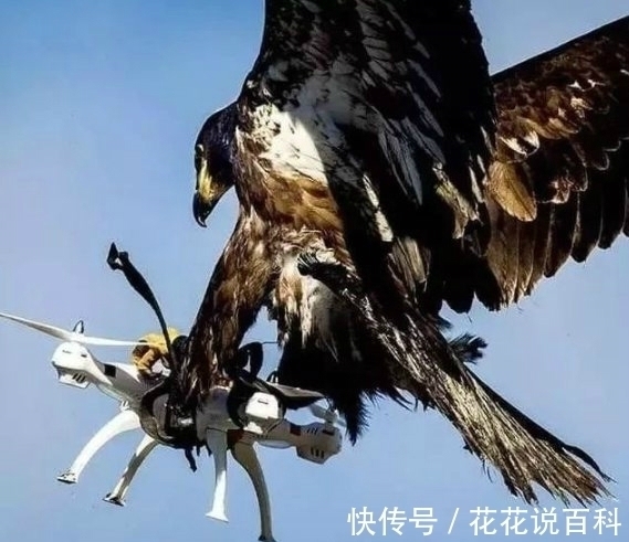 |搞笑图片!打个针至于做出那么委屈的表情吗?