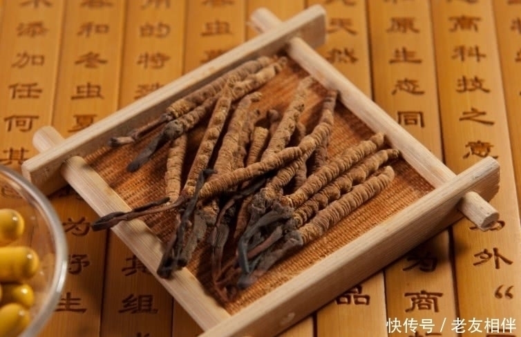 补肾|富人吃虫草,穷人只吃它,补肾强身,10斤虫草都不换