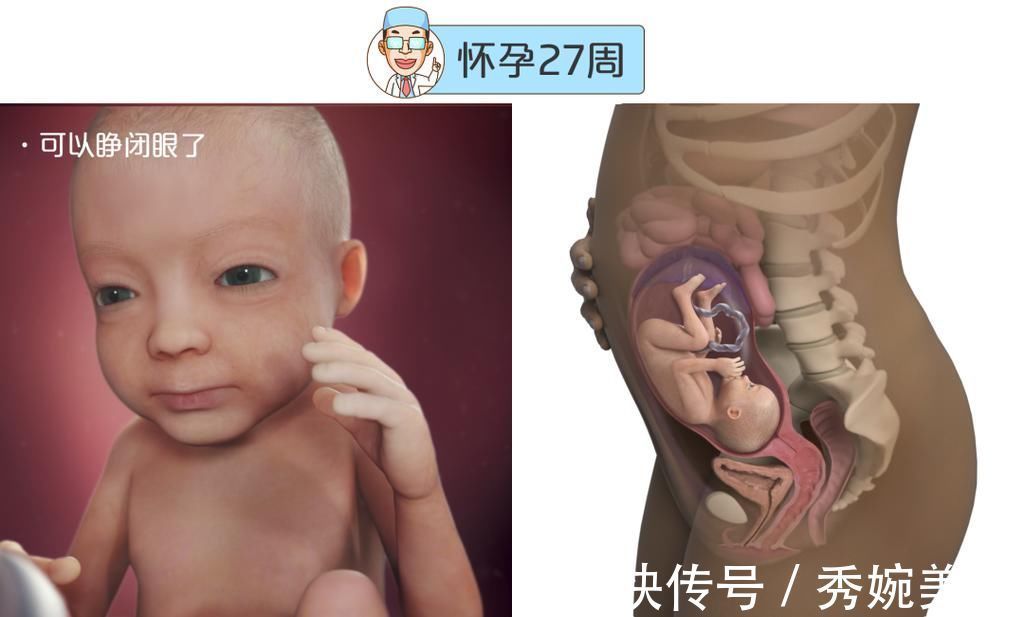 怀孕|最全的怀孕周期图鉴,感受从受精卵到婴儿的神奇变化!