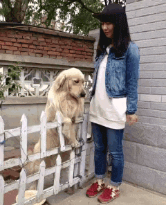 |搞笑GIF:这样翻锅菜都不会甩出来,真有两下