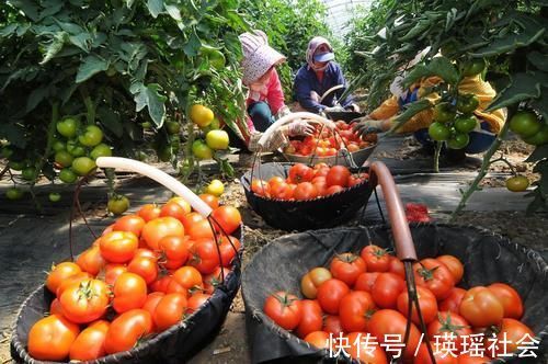 全麦面包|怀孕后孕妈妈不能再像以前一样吃吃喝喝了,孕妈可以这样吃