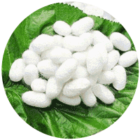 涤纶|衣服中的涤纶、腈纶、锦纶…到底有什么区别？终于弄明白了