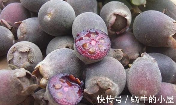 延缓衰老|人到中年想长寿，学会常吃3种食物，延缓衰老，预防心血管疾病