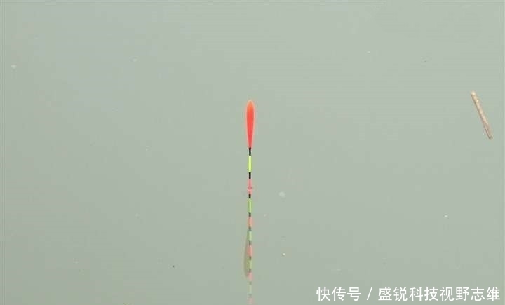 为什么说野钓就要钓钝，这几个原因告诉你，钓钝到底有多实用