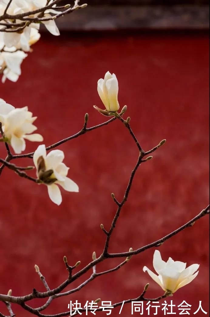 「美妆江湖」故宫四季,绝色中国