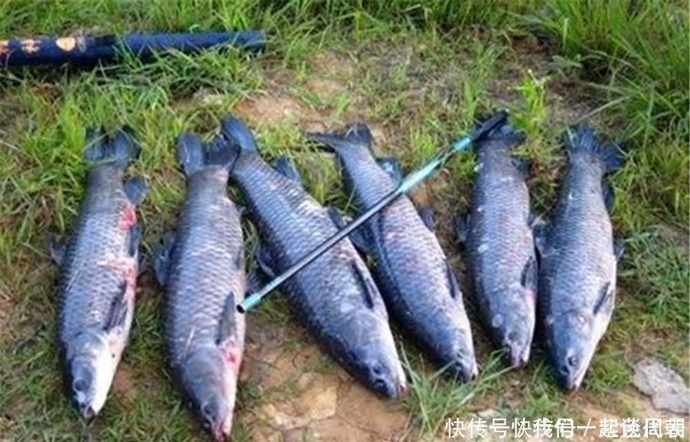 底钓大鱼，用这种调漂方法，这是钓大鱼的“专属”调漂方法！