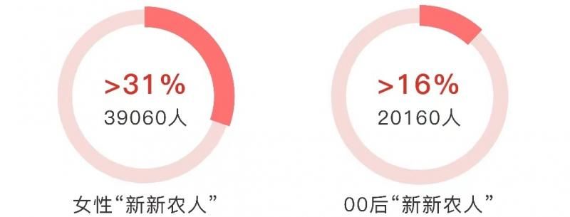 新新农人|拼多多报告：95后“新新农人”数量超12.6万，女性占比超31%