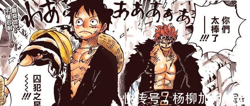 德雷克|海贼王990话德雷克加入路飞阵营,原来路飞才是超新星收集家