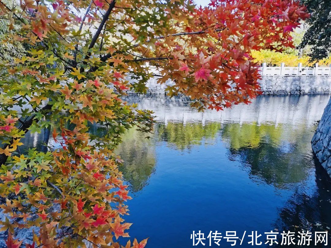 朝阳|朝阳游园推荐：大望京公园