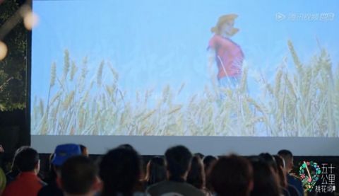 桃花塢里桃花谷|跟著綜藝去旅游，桃花塢里桃花谷？