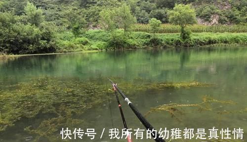 钓友|野钓中钓点选择技巧：从4个方向入手，选出来的都是鱼扎堆的地方