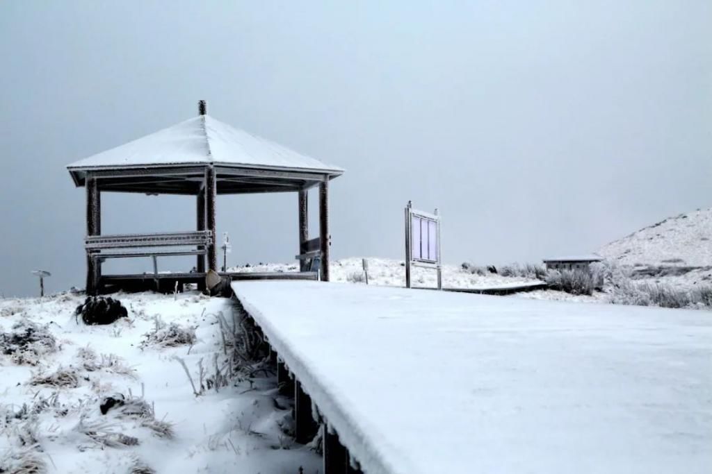 县区|初雪！周边县区雪景美图来袭！