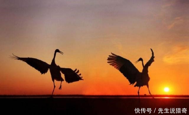 活到|民国才女坎坷一生,与一人分分合合20载,晚年孤独,活到94岁