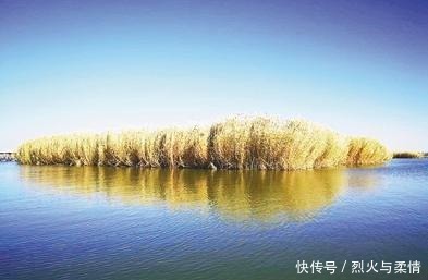 奇迹 真的开始向沙漠输水了!外媒称赞这是只有中国能创造的奇迹