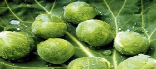  排毒|女性爱美，常吃的食物，延缓衰老，排毒养颜，预防子宫早衰