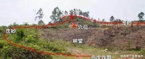 诸葛亮|诸葛亮善用计,死后却把自己算丢了。