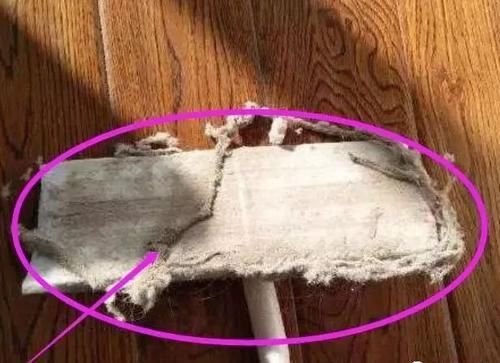 塑料袋|毛絮越扫越多？告诉你一个小妙招，轻松解决毛絮困扰