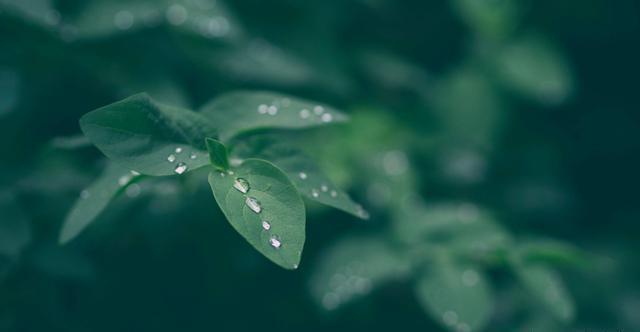 明哲保身&越是深藏不露的人,往往懂得这三条天规,懂一个,就很好!