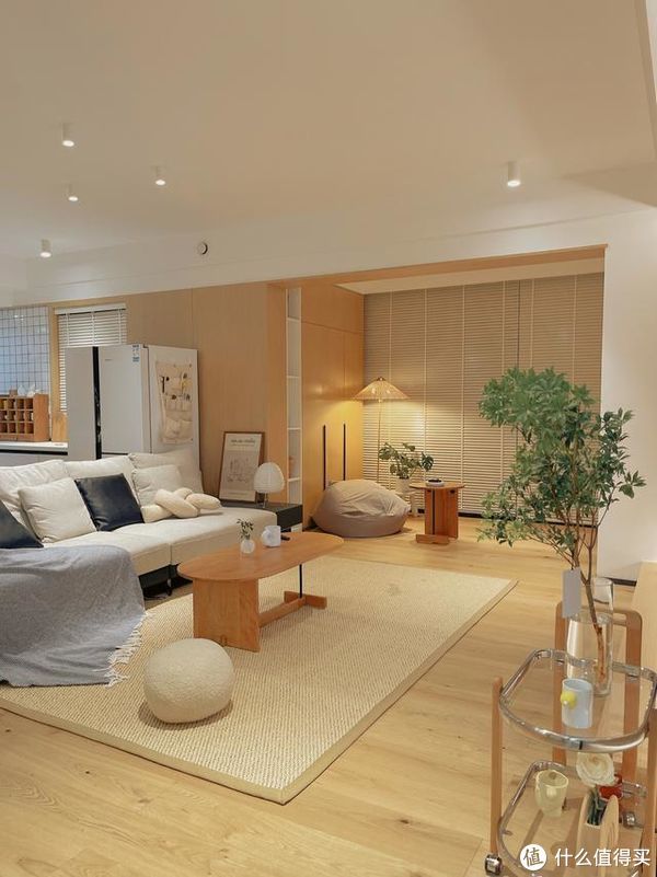 收纳|长沙发现一户人家，客厅那叫一个高级！拍照给大家瞧瞧，太羡慕了