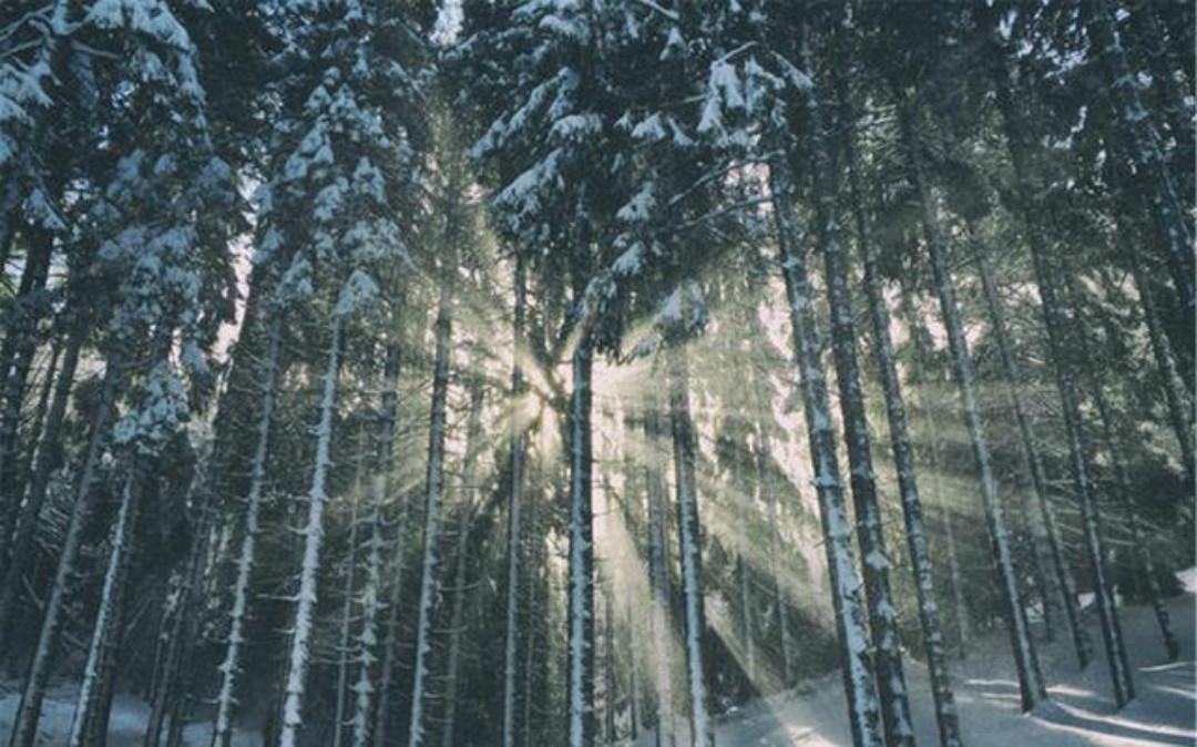 刘伯温|刘伯温一首很感人的诗,虽然只有短短的四句,但是每一句都有深意