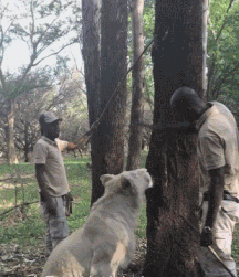 |搞笑GIF趣图:不用明说,相信大家心里已经明白怎么回事了